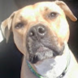 Meet your Posher, William